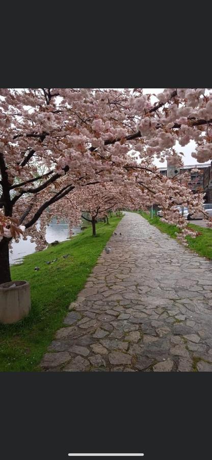 Kartal Centar Apartment Bihać Dış mekan fotoğraf